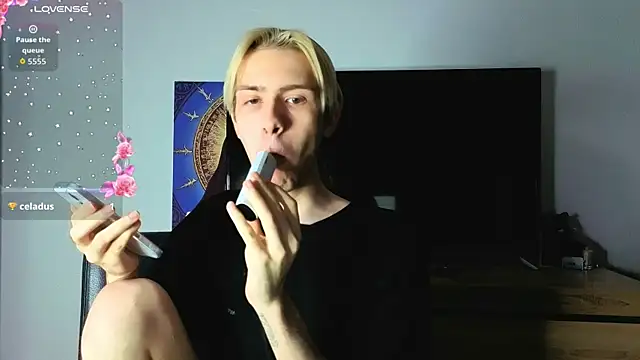 Show modela skibatryanka na web-kameri