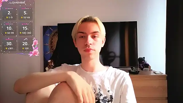skibatryankan Webbikameraesitys