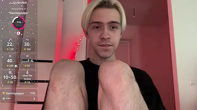 skibatryankan Webbikameraesitys