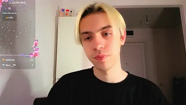 skibatryankan Webbikameraesitys