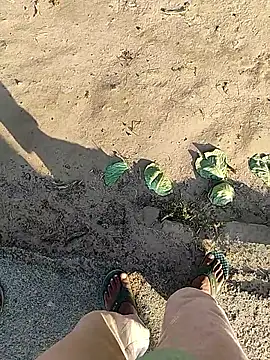 Im_abhi90 웹캠 쇼