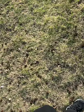 Webkamerová show pussyeater_-