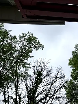 pussyeater_- Show Webcam