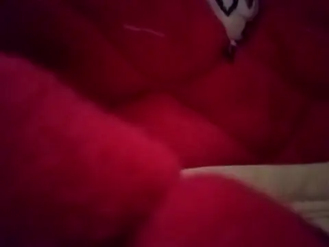 aiai220 Webcam-Show