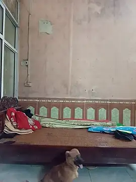 Chat ao vivo de aiai220