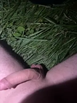 Donnydon776 Show Webcam