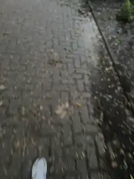 הופעת וובקאם של Donnydon776