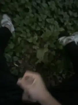 عرض كام Donnydon776