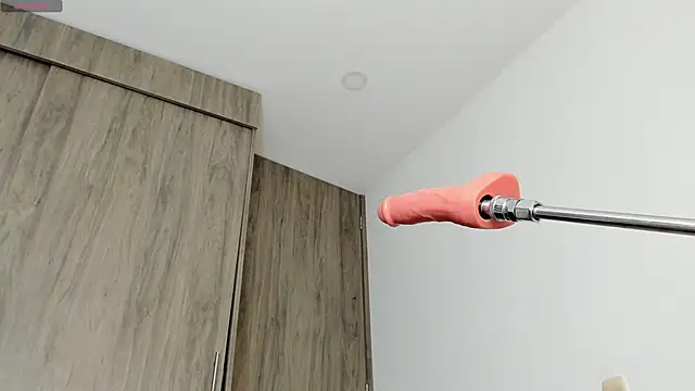 idkusethisのウェブカメラショー