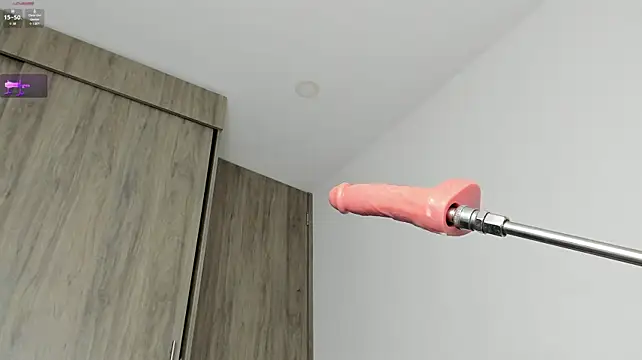 Show de webcam de idkusethis