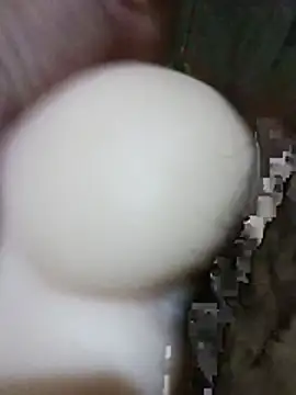 papi23l Show in webcam