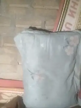 Yang-my-: онлайн-чат