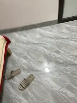 Show Webcam de vietAnhzip