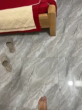 Show de vietAnhzip na webcam