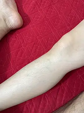 vietAnhzipのウェブカメラショー