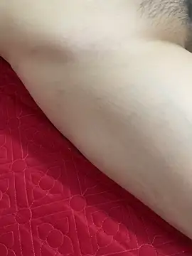 vietAnhzip Webcam show