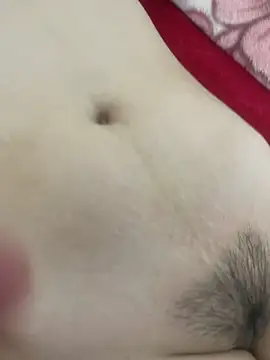 vietAnhzipのウェブカメラショー