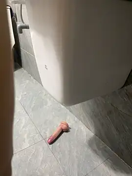 vietAnhzip 网络视讯表演