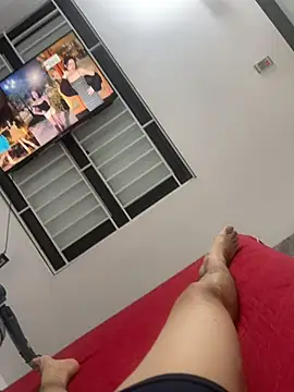 Show de webcam de vietAnhzip