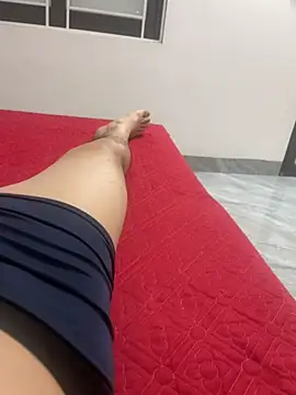Show Webcam de vietAnhzip