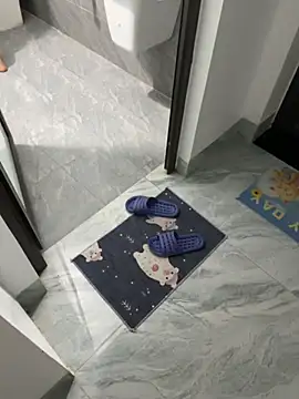 vietAnhzip Show in webcam