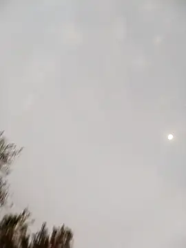 loyalboy_0052's Webcam Show