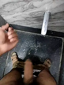 loyalboy_0052n Webbikameraesitys