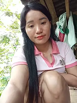 Td3di Show Webcam