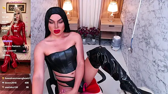 Victorias_DomWorldn Webbikameraesitys