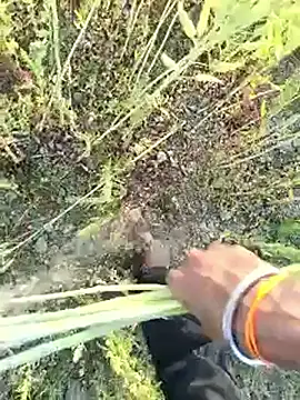 Show Webcam de indian_nitin