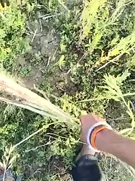 Show de indian_nitin na webcam