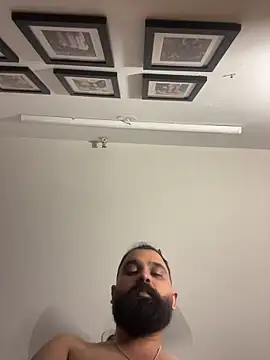 ThatBeardDude Webcam Show