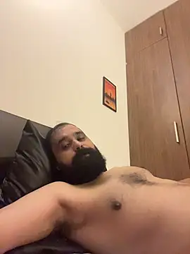 Show Webcam de ThatBeardDude
