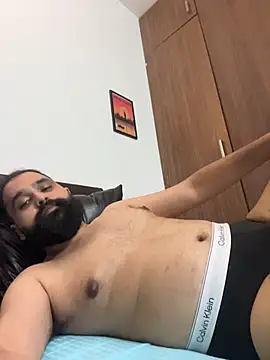 โชว์เว็บแคมของ ThatBeardDude