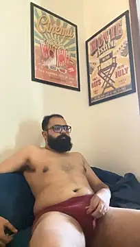 Show Webcam de ThatBeardDude