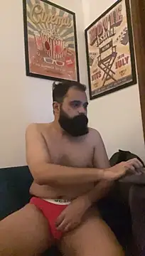 הופעת וובקאם של ThatBeardDude
