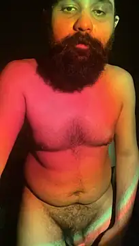 ThatBeardDude's Webcam Show