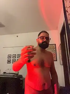 Show webcam de ThatBeardDude