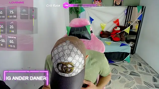 Top_and_bottom Show Webcam