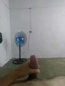 Show webcam de Noscay