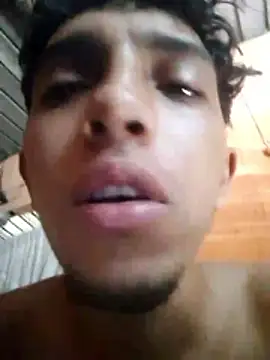 Show Webcam de Noscay