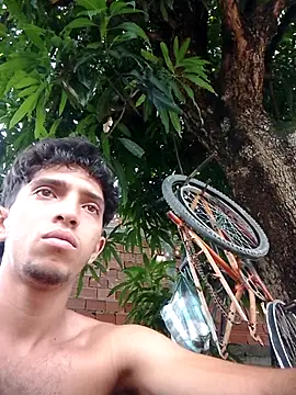 Noscayn Webbikameraesitys