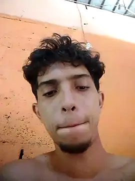 Show webcam de Noscay