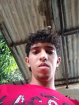 عرض كام Noscay