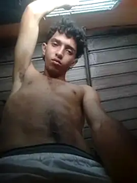 Show Webcam de Noscay
