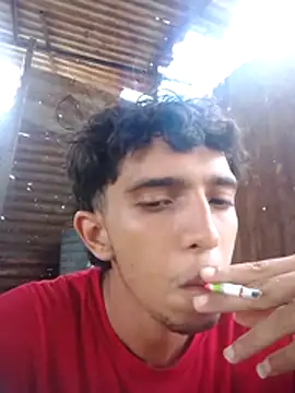عرض كام Noscay