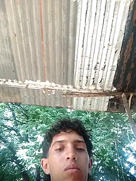 عرض كام Noscay
