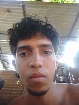 Show webcam de Noscay