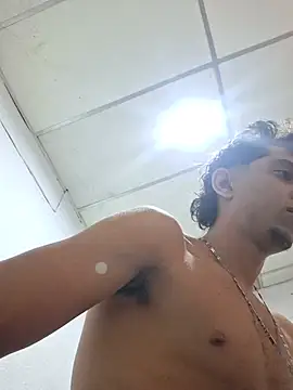 Show Webcam de Noscay