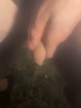 zozo971008n Webbikameraesitys